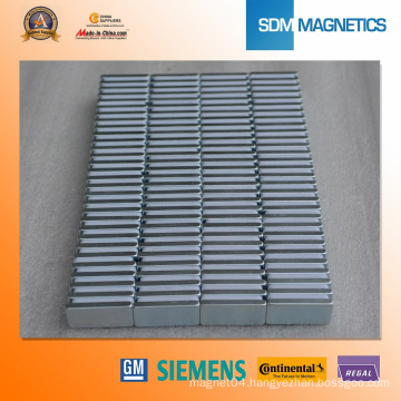 Segment Permanent Rare Earth Neodymium Generator Magnet